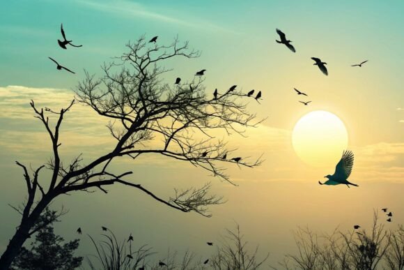Birds and Sun Background Design: A Versatile Tool for Creative Workflows